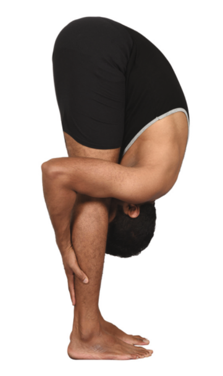 Yoga Asanas 27